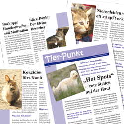 Tier-Punkt