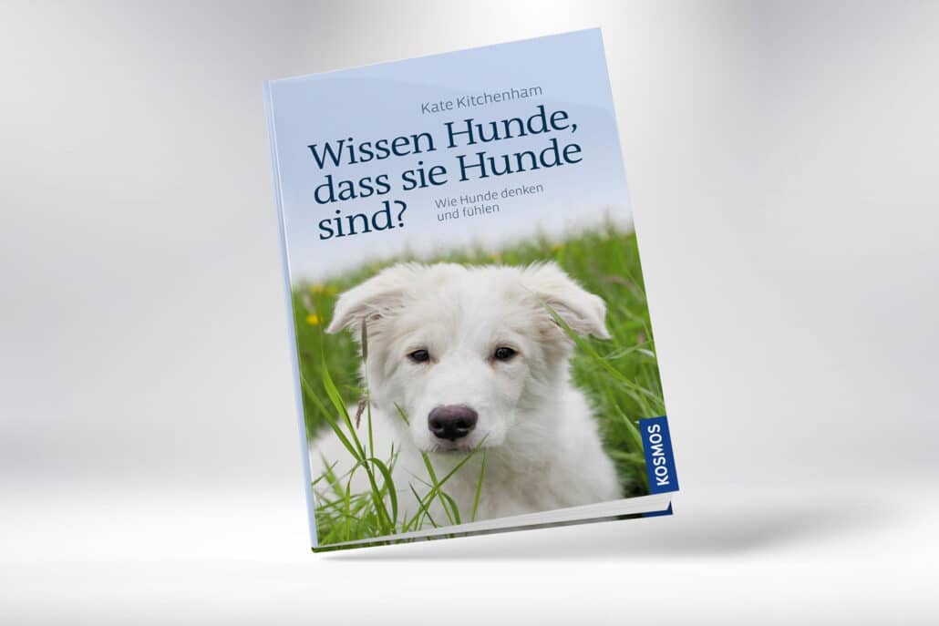 Die Gefühle unserer Hunde TierPunkt