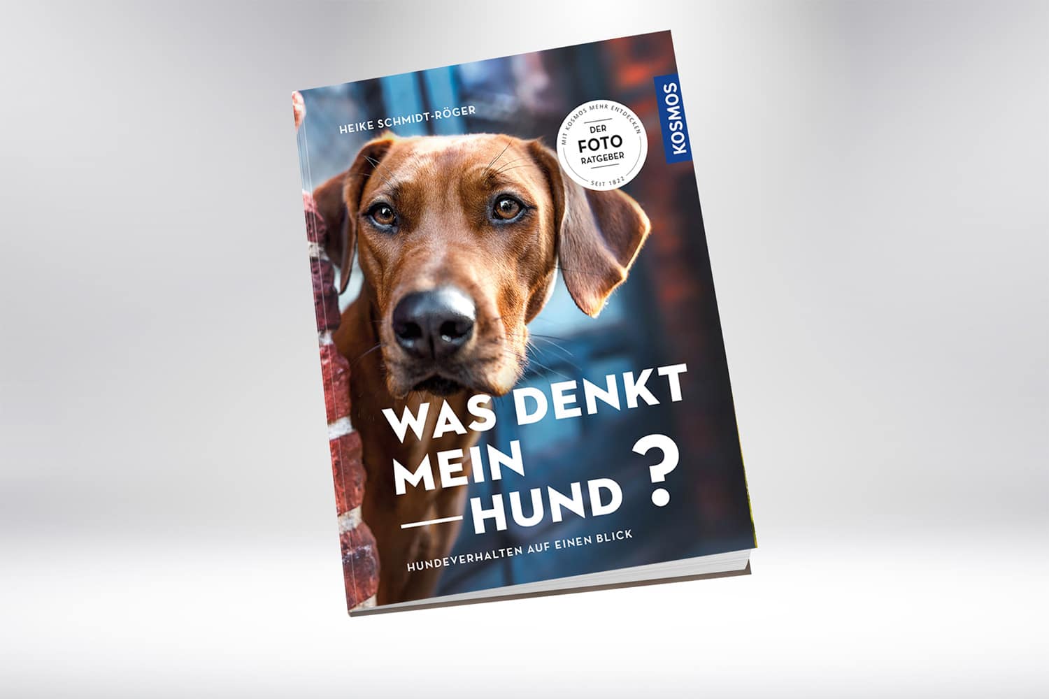 Was denkt meinHund?