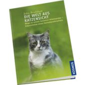 Die Welt aus Katzensicht