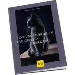 Die unglaublichen Fähigkeiten der Katze