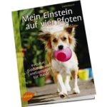 Mein Einstein auf vier Pfoten